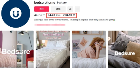 Bedsure黑五狂赚数百万美元！家居品牌TikTok爆单3招，2025攻略直接抄